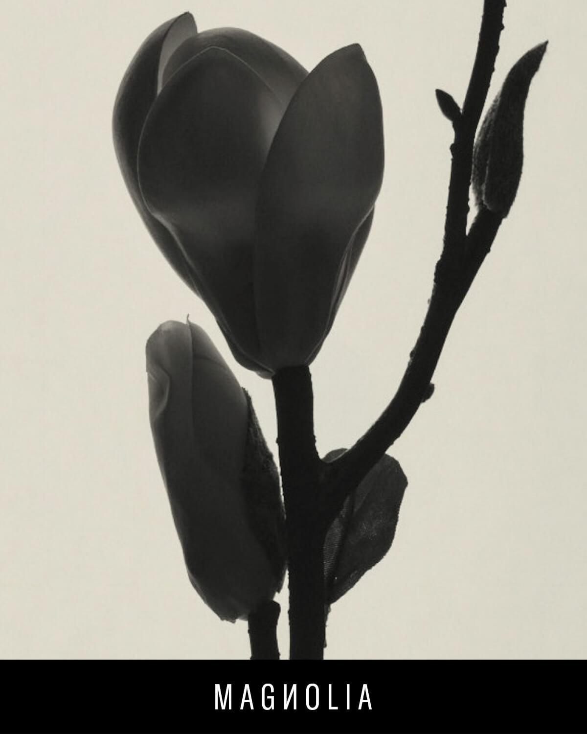 FENTY BEAUTY FENTY EAU DE PARFUM (75 ML) - Warm Floral Scent by Rihanna